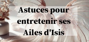 Comment entretenir avec soin vos ailes d isis de danse orientale